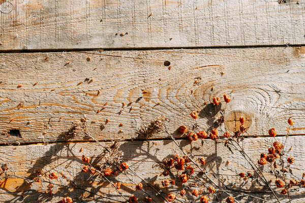 Dried flowers are lying on a wooden table. Autumn dry herbs lie on the table under the rays of the sun. Copy Space.