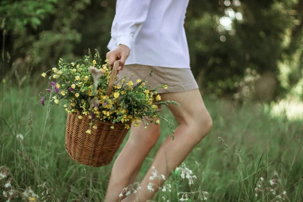 A girl in a white blouse holds a wicker basket with a bouquet of wild flowers. Summer walk in the field. close-up of a woman\'s legs walking through a field with a basket of flowers.
