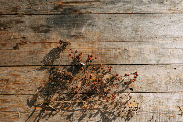 Dried flowers are lying on a wooden table. Autumn dry herbs lie on the table under the rays of the sun. Copy Space.