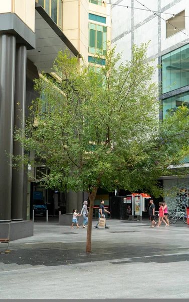 Över Staden Adelaide Från Byggnader Och Företag Till Det Gamla — Stockfoto