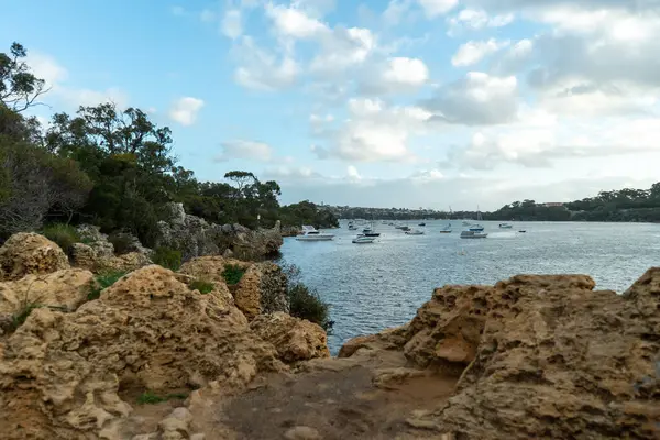 Вид Річку Лебеді Перті Західна Австралія — стокове фото