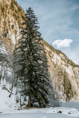 Yeni yıl için Avusturya Alpleri, Toplitzsee Gölü, Kammersee