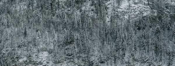 Yeni yıl için Avusturya Alpleri, Toplitzsee Gölü, Kammersee