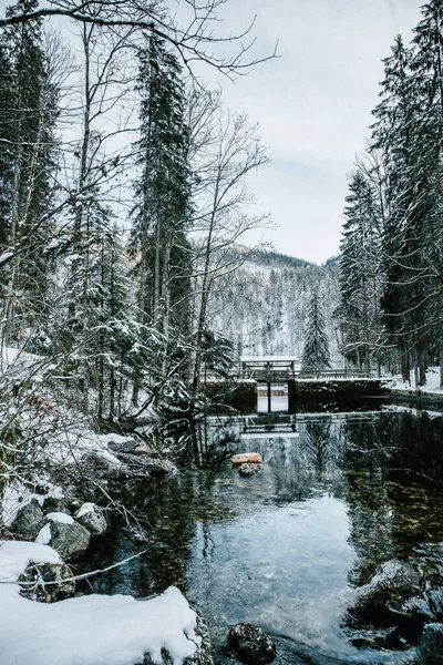 奥地利阿尔卑斯山冬季新年 托普里兹湖 卡姆梅西 — 图库照片