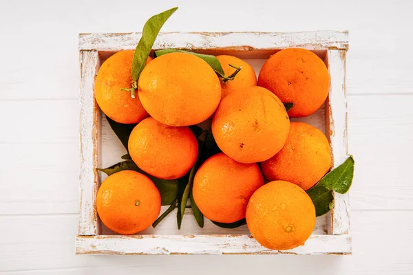 Pomarańcze Liśćmi Jasnym Tle — Zdjęcie stockowe