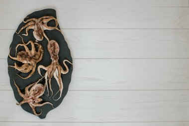 Metin için yeri olan taze ahtapotlar.