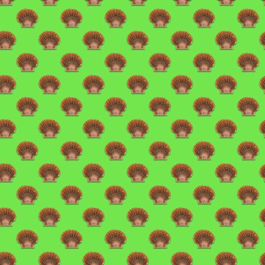 Deniz kabuklarından yapılmış desen