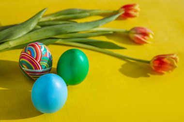 Paskalya yumurtaları ve Paskalya tavşanı. Metin için yer var. Site için arkaplan