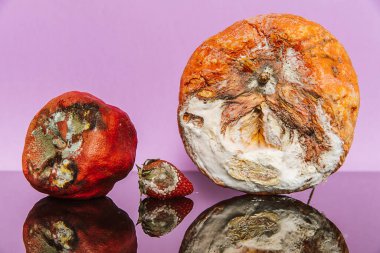 Renkli arka planda çürük meyve. Reklam ve tasarım için uygun. İç görüntü.