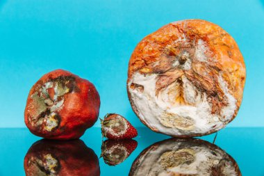 Renkli arka planda çürük meyve. Reklam ve tasarım için uygun. İç görüntü.