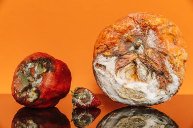 Renkli arka planda çürük meyve. Reklam ve tasarım için uygun. İç görüntü.