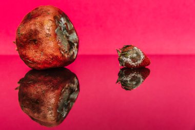 Renkli arka planda çürük meyve. Reklam ve tasarım için uygun. İç görüntü.