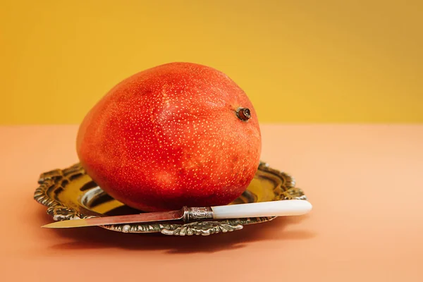 Renkli bir arka planda olgun bir mango. Meyve reklamı için uygun. 
