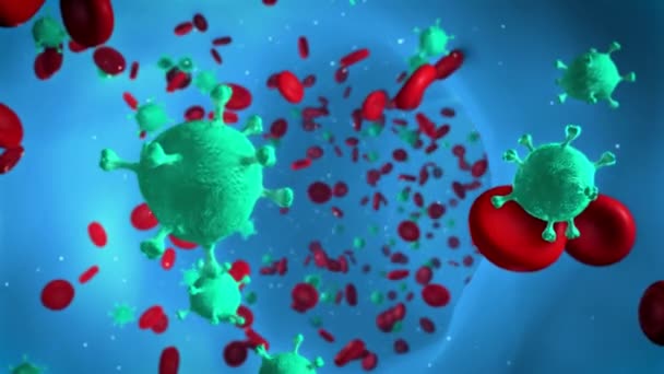 Komórki wirusa we krwi ludzkiej — Wideo stockowe