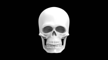 Siyah arka planda izole edilmiş bir insan kafatası. Siyah ve beyaz 3D çizim. Tam yüz beyaz kafatası 