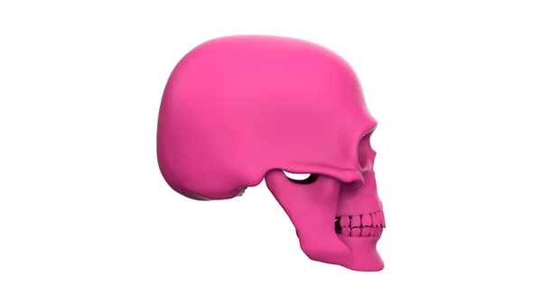 Skull Profile Isolated White Background Render White Skull — Stock Photo, Image