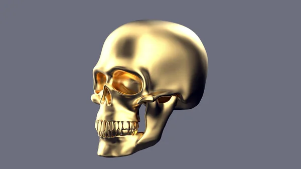 灰色の背景に隔離された金の頭蓋骨 3Dレンダリング金の頭蓋骨 — ストック写真