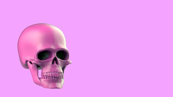 3D将粉红色的头骨呈现在粉红色的背景上 现代设计 — 图库照片