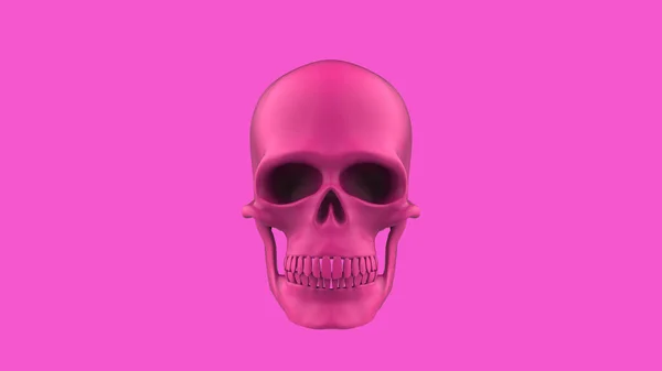 满脸粉红的头骨3D在粉色背景上渲染粉色骷髅 流行艺术风格 — 图库照片