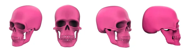 ピンクの頭蓋骨の画像のセット 3Dレンダリングピンクの頭蓋骨 — ストック写真
