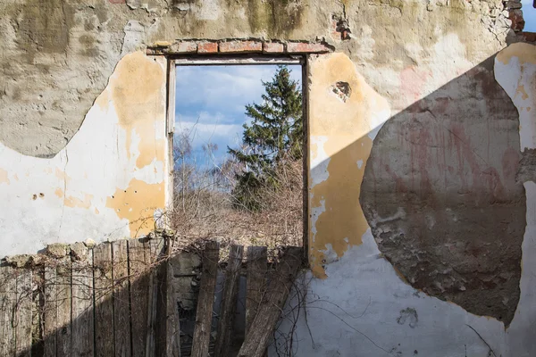 Wand des Zimmers in einem verlassenen Haus — Stockfoto