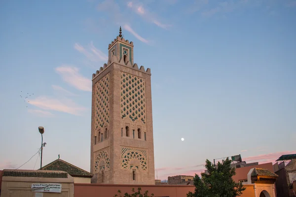 Camide Jamaa el Fna, Marrakesh, Morocco