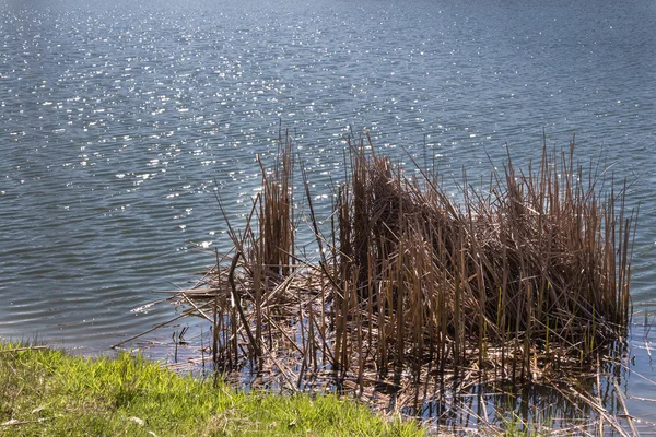 Nivel de un lago con pequeños reflejos solares — Foto de Stock
