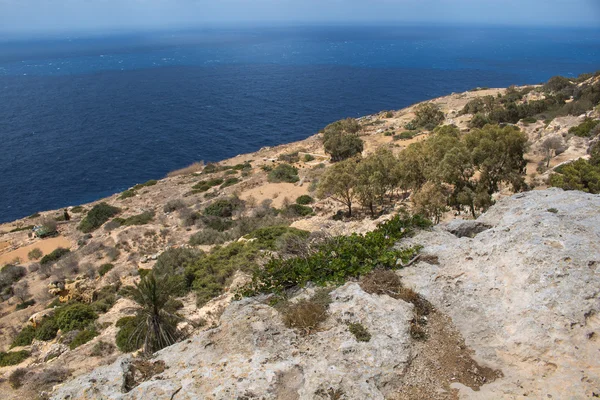 Dingli Acantilados, isla Malta —  Fotos de Stock