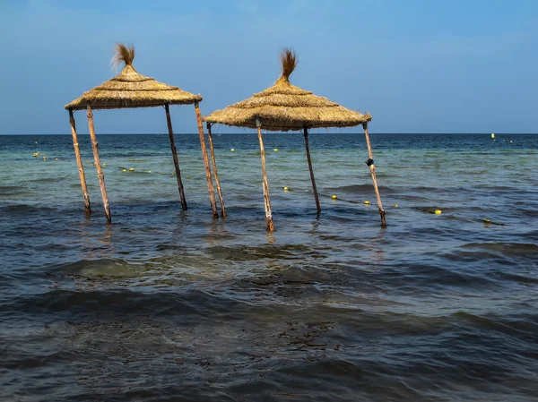 Sombrillas y el mar, Túnez —  Fotos de Stock