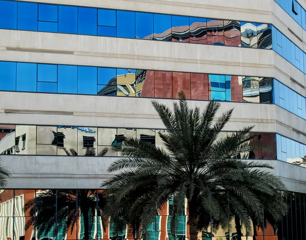 Dubai - Gebäude und eine Palme — Stockfoto