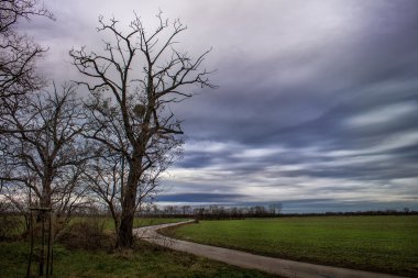 Fırtınalı havalarda eğri yol