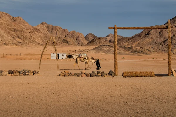 Mountain in the desert in Egypt