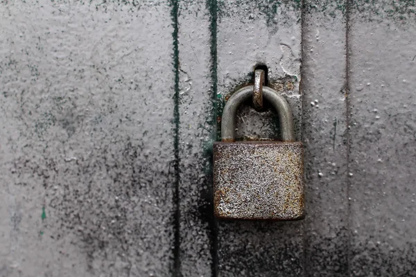 Hangslot op een zilveren Gate — Stockfoto