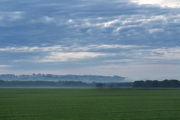 Mistig veld na een Storm — Stockfoto