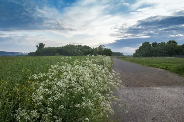 Route de campagne et un champ — Photo