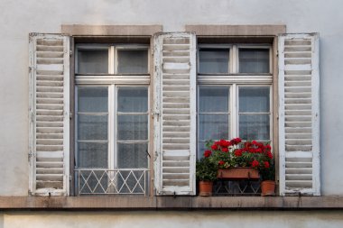 Panjurlar ve bitkiler ile eski Windows