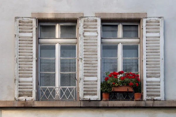 Panjurlar ve bitkiler ile eski Windows