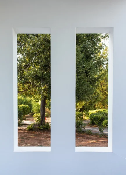 Beyaz bir çerçeve doğada