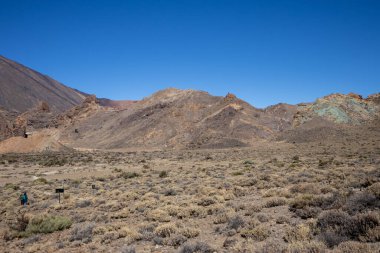Volkanik dağlar ve taşlı bir vadi. Yosun ve yosunun kefareti. Parlak mavi gökyüzü. Teide Ulusal Parkı, Tenerife, Kanarya Adaları, İspanya.
