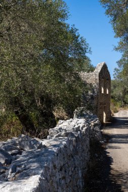 Doğada, zeytin ağaçlarıyla çevrili terk edilmiş eski bir taş ev. Ön planda çit var. Parlak mavi gökyüzü. Paxos, Yunanistan.