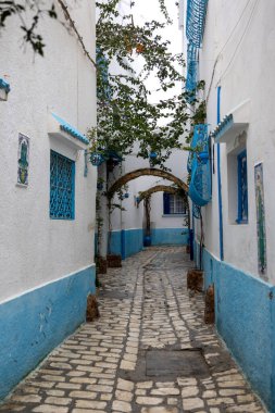 Tarihi şehir merkezinin dar sokakları, dolambaçlı sokaklar - Medina. Yeşillik ve iyi korunmuş cepheler. Bizerte, Tunus