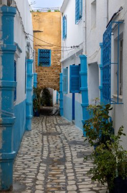 Tarihi şehir merkezinin dar sokakları, dolambaçlı sokaklar - Medina. Yeşillik ve iyi korunmuş cepheler. Bizerte, Tunus