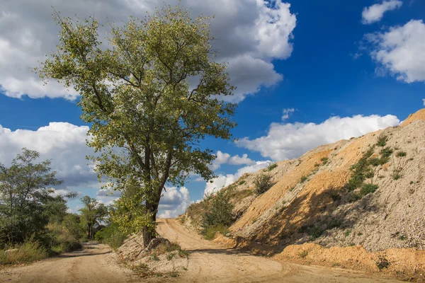 Naturaleza y un cielo nublado —  Fotos de Stock