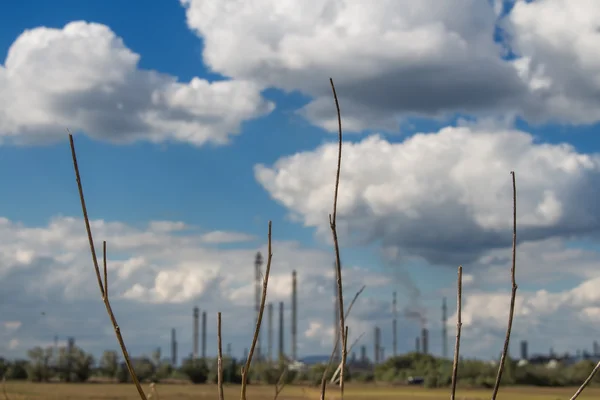 La nature et une usine — Photo