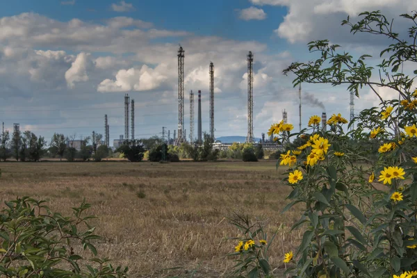 Fleurs et une usine — Photo