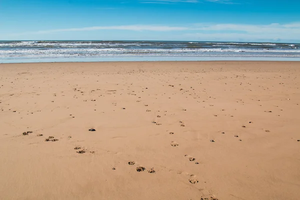 Spiaggia di sabbia, costa dell'Oceano Atlantico, Marocco — Foto Stock