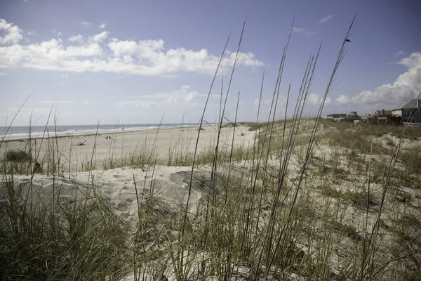 Strand Mit Hafer — Stockfoto