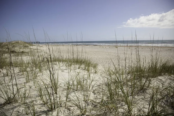 Beach Sea Oats — Stock Photo, Image