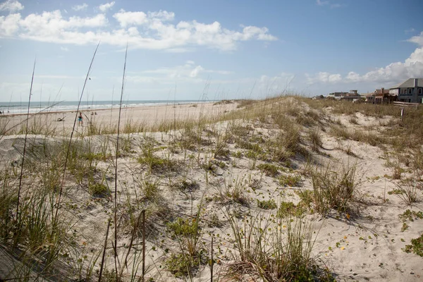 Strand Mit Hafer — Stockfoto