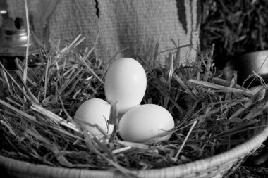 Kahvaltı için kovboy yemek malzemeleri.